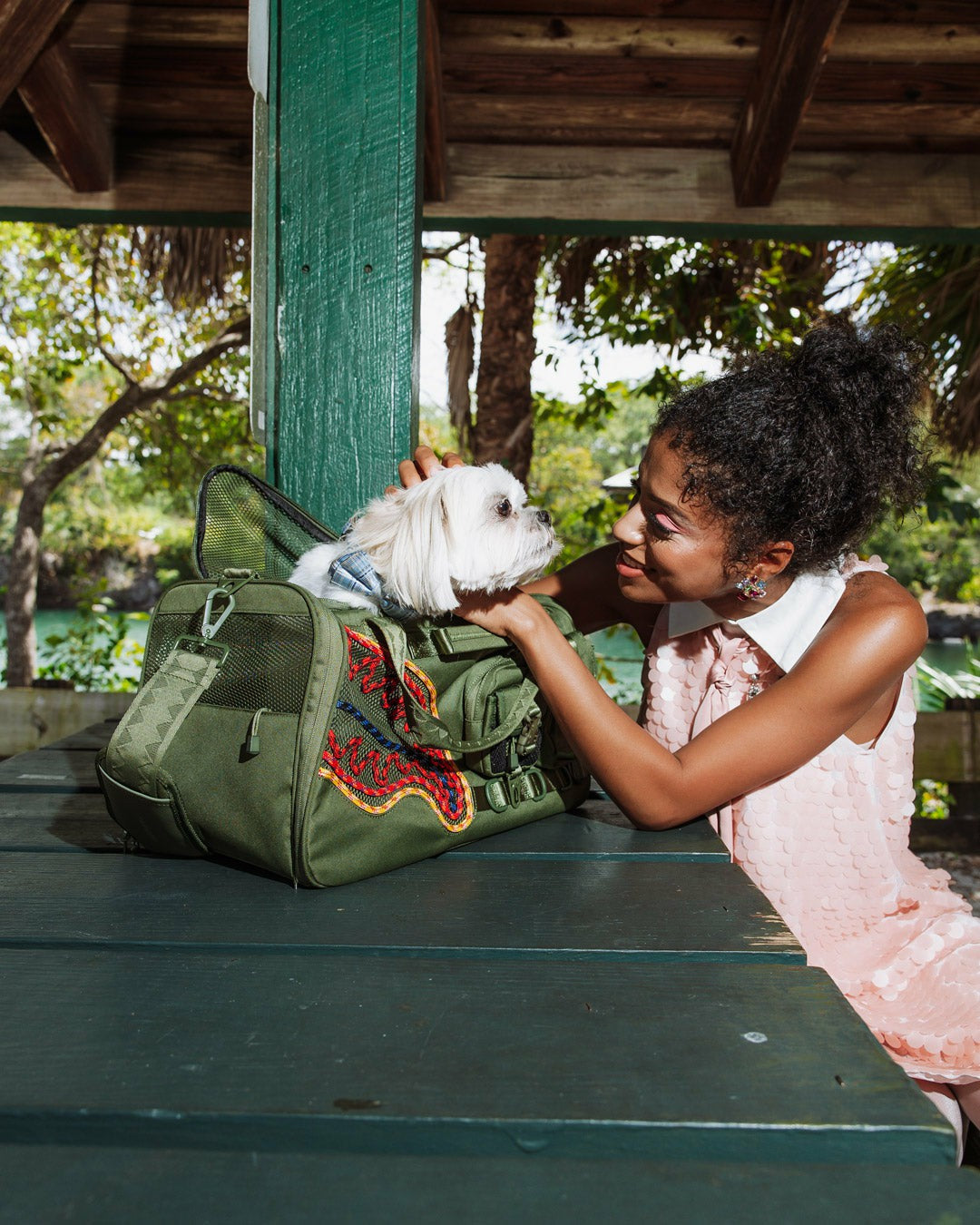 Sprayground - WON'T STOP TILL THE TOP PET CARRIER