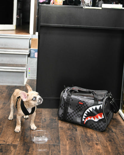 Sprayground - 3AM PET CARRIER